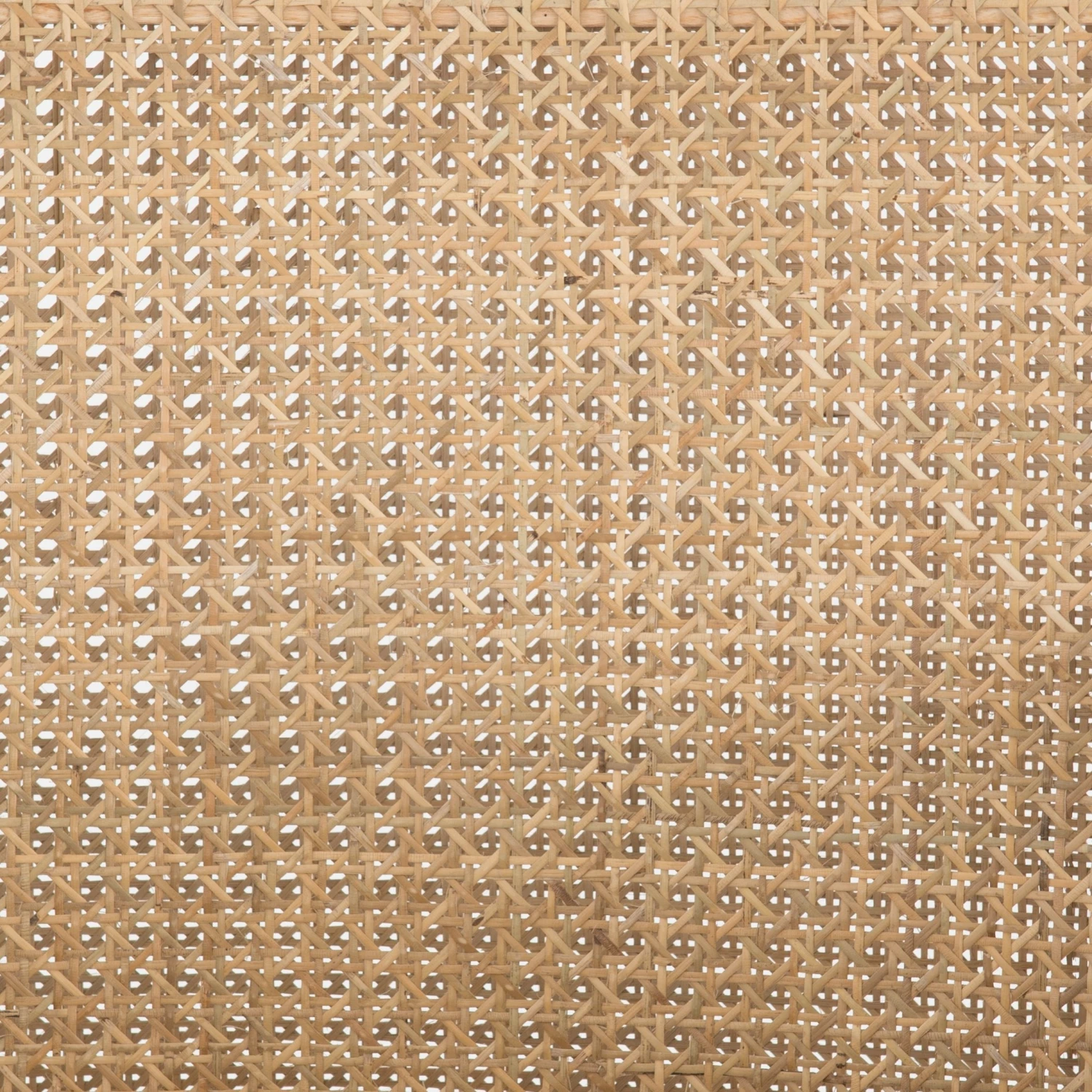 Jeni Dining Arm Chair 12 Jeni Dining Arm Chair - Image 12