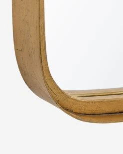 Devyn Full Length Mirror -MIUBOW Furniture Shop w00517 a2 detail 1